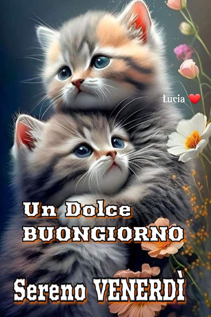 Immagini Nuove Buon Venerdi​ 100