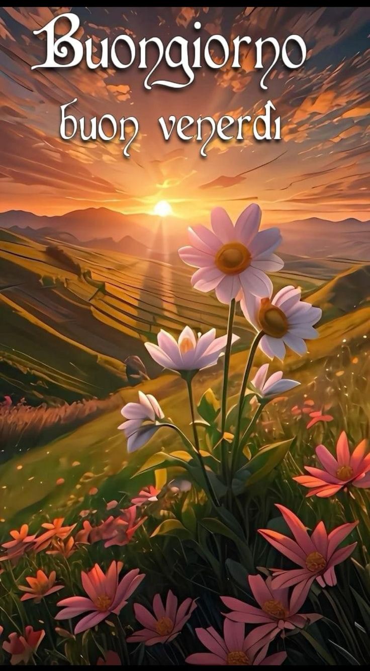 Immagini Nuove Buon Venerdi​ 121