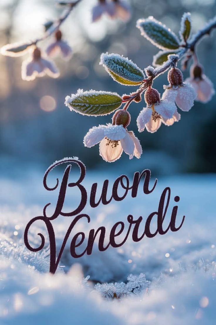 Immagini Nuove Buon Venerdi​ 126