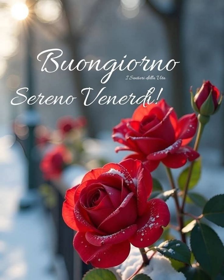 Immagini Nuove Buon Venerdi​ 48