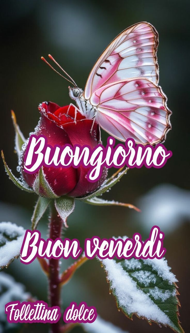 Immagini Nuove Buon Venerdi​ 57