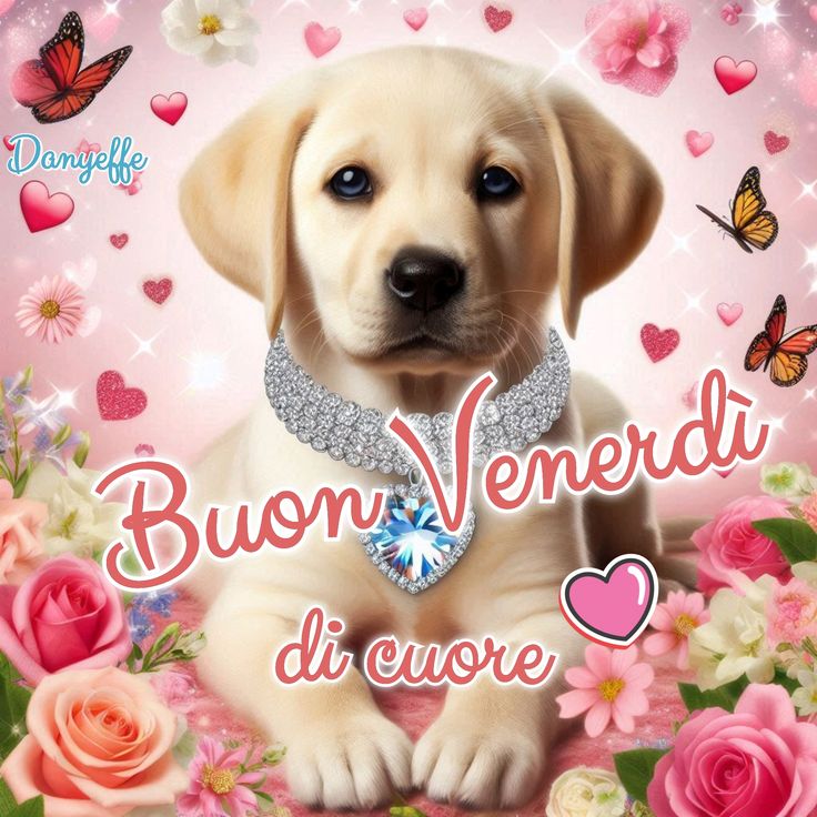 Immagini Nuove Buon Venerdi​ 69