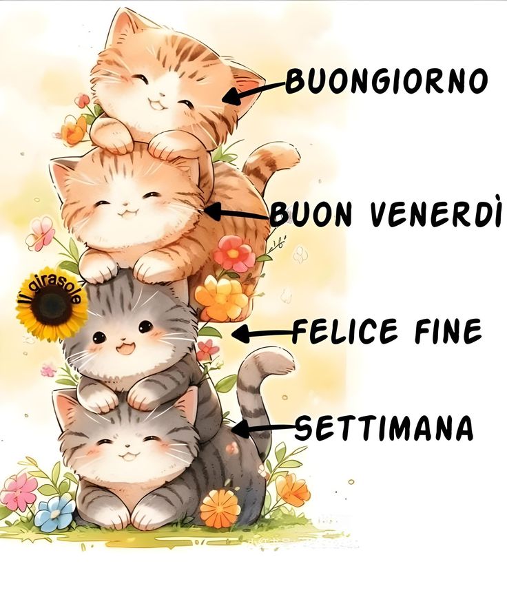 Immagini Nuove Buon Venerdi​ 74