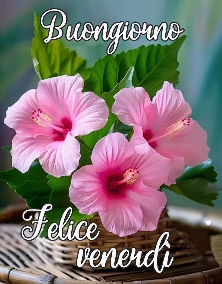 Immagini Nuove Buon Venerdi​ 8