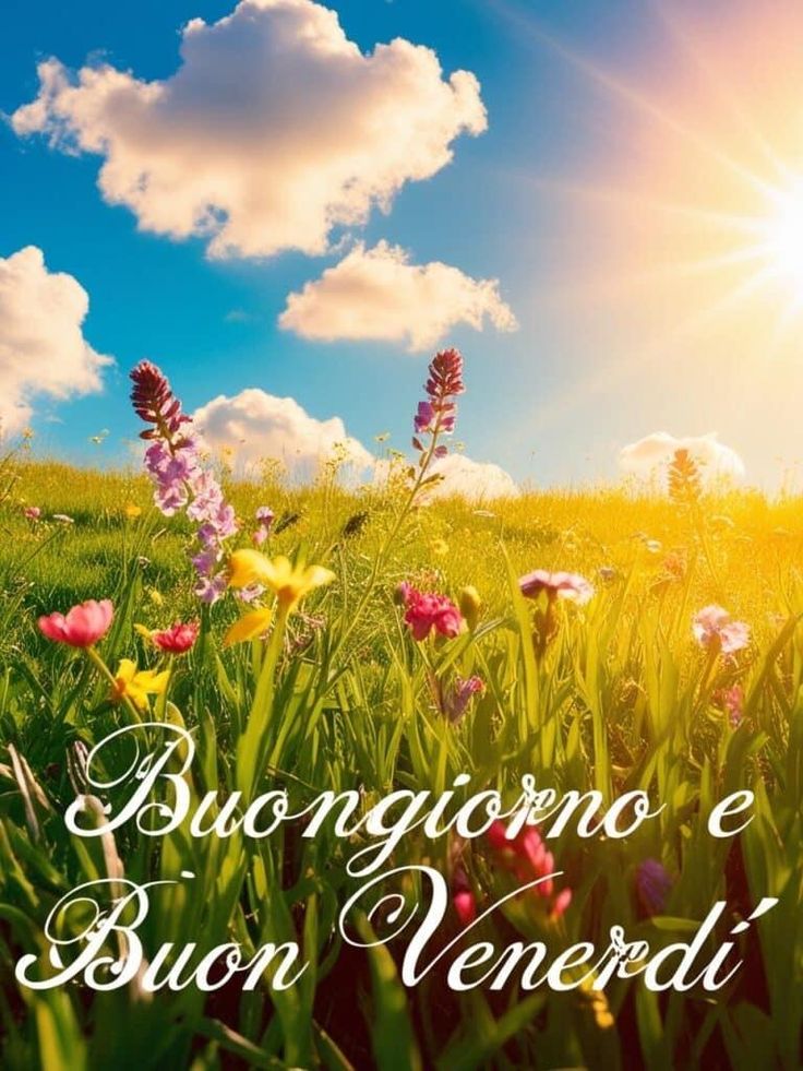 Immagini Nuove Buon Venerdi​ 97