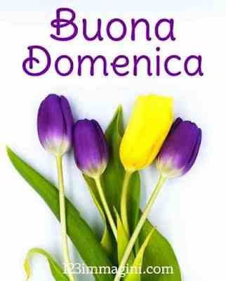 Nuovissimo Buona Domenica Immagini 106