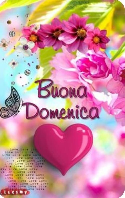 Nuovissimo Buona Domenica Immagini 109