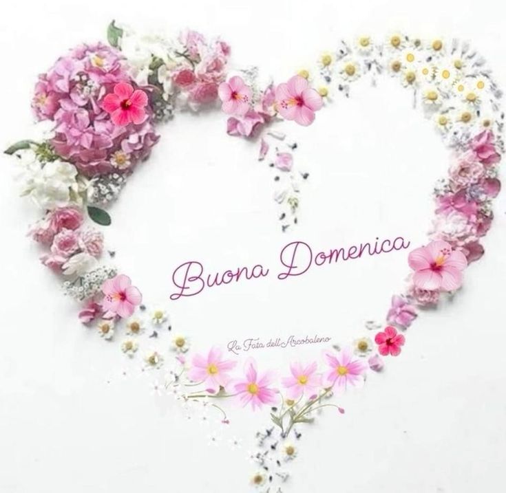Nuovissimo Buona Domenica Immagini 11