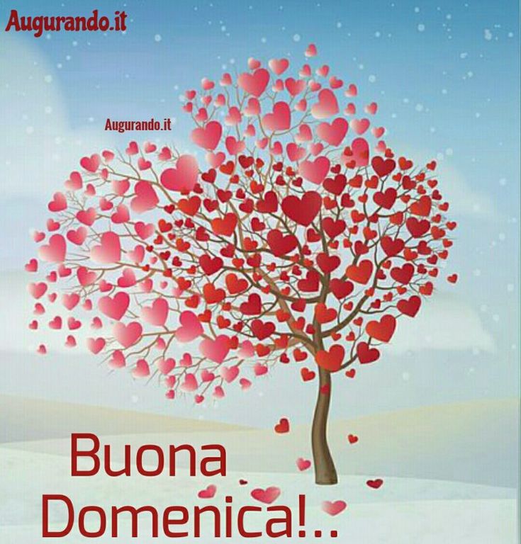 Nuovissimo Buona Domenica Immagini 111