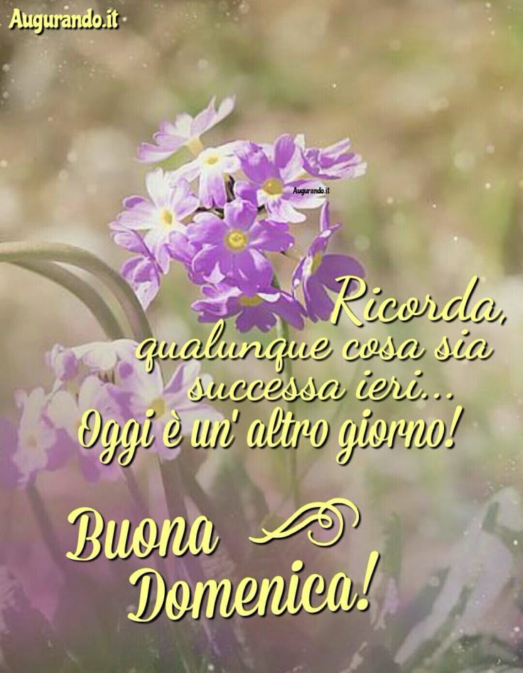 Nuovissimo Buona Domenica Immagini 113