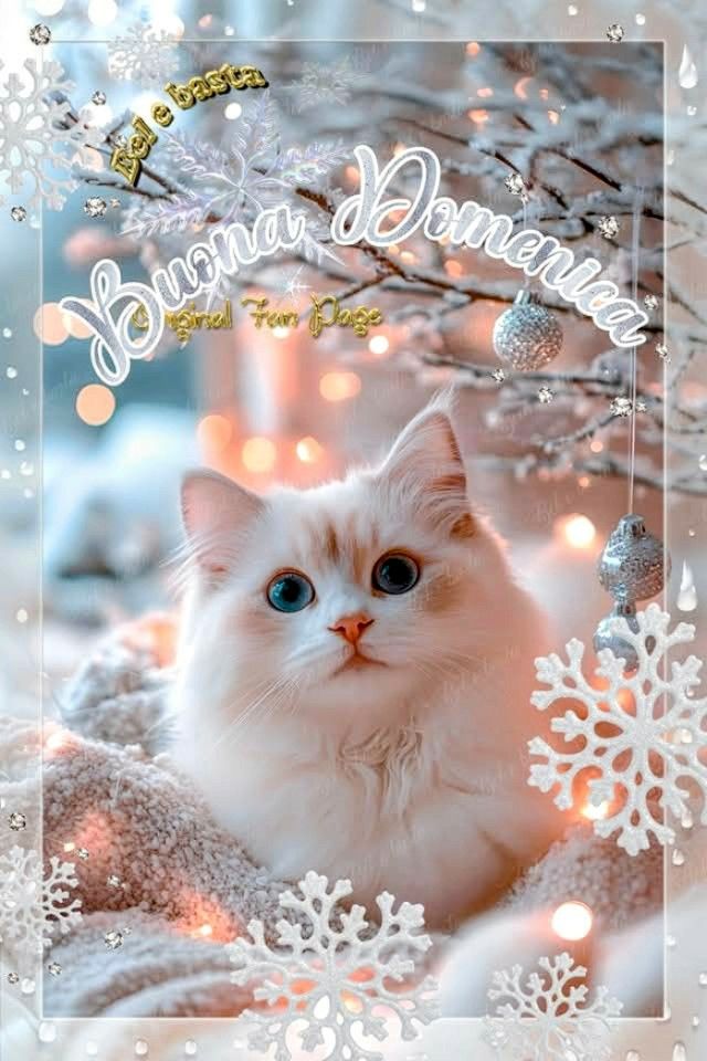 Nuovissimo Buona Domenica Immagini 114