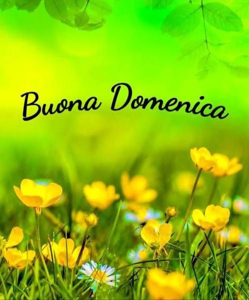 Nuovissimo Buona Domenica Immagini 115