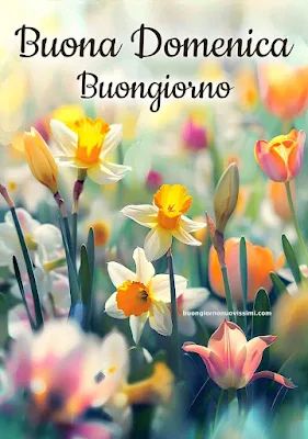 Nuovissimo Buona Domenica Immagini 119