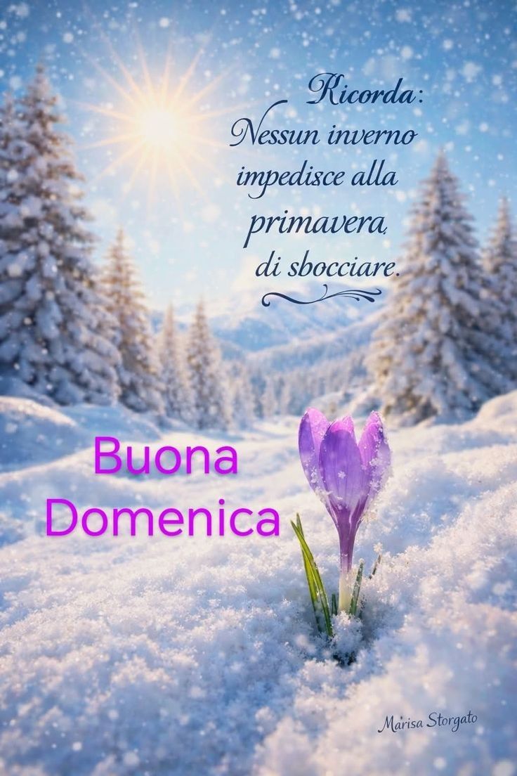 Nuovissimo Buona Domenica Immagini 121