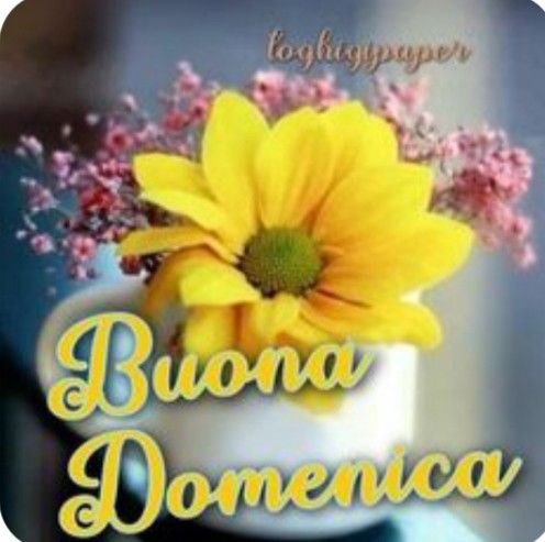 Nuovissimo Buona Domenica Immagini 149