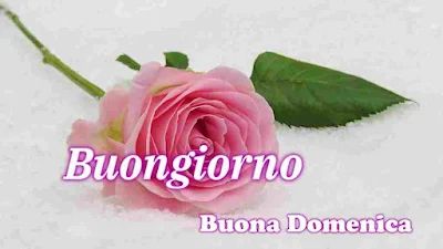 Nuovissimo Buona Domenica Immagini 20