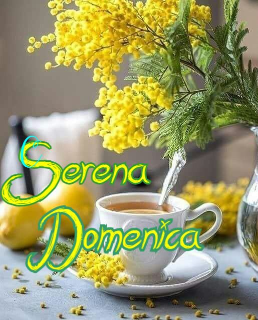 Nuovissimo Buona Domenica Immagini 21