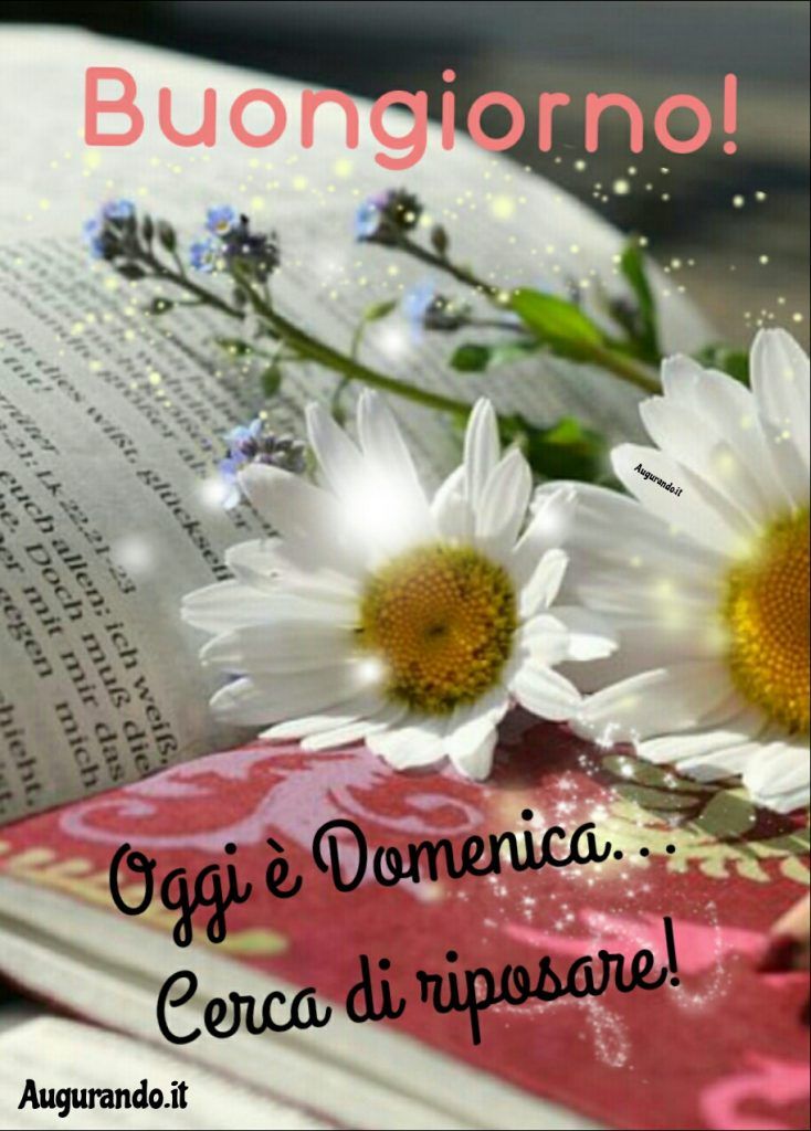 Nuovissimo Buona Domenica Immagini 23