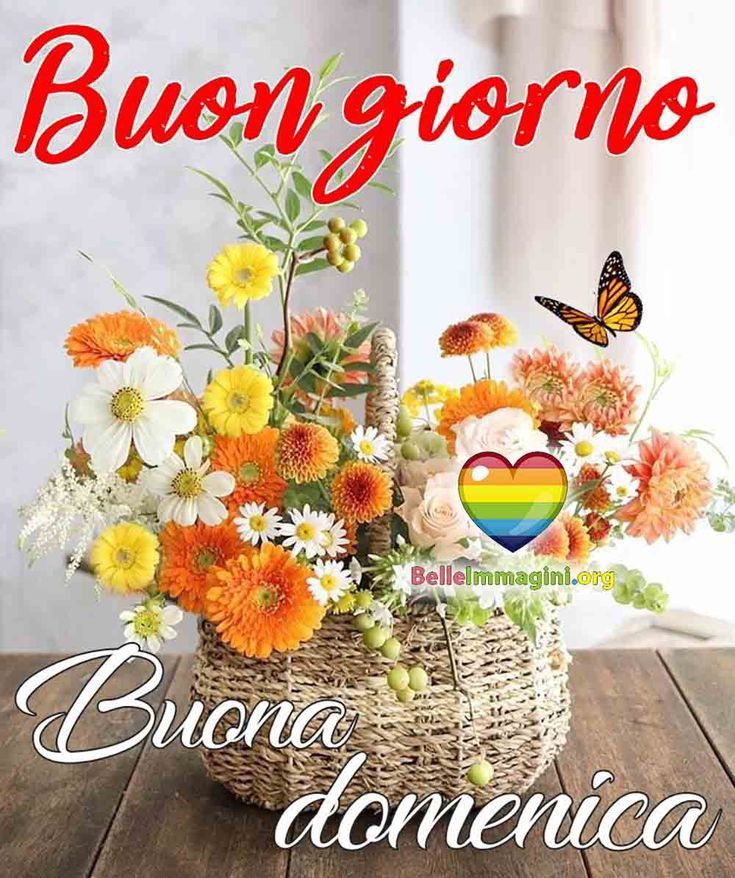 Nuovissimo Buona Domenica Immagini 28