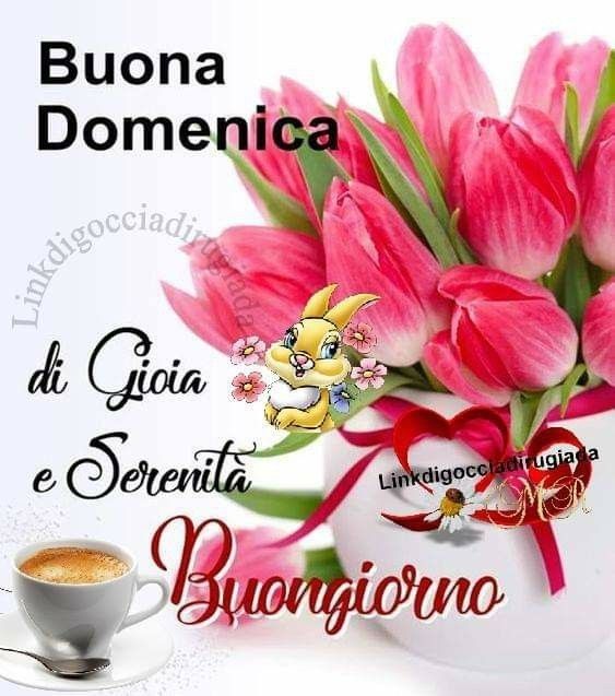 Nuovissimo Buona Domenica Immagini 33