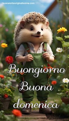 Nuovissimo Buona Domenica Immagini 44