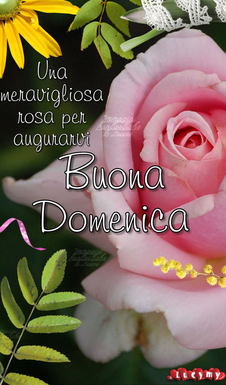 Nuovissimo Buona Domenica Immagini 47