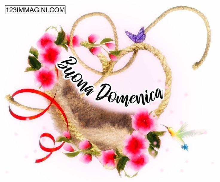 Nuovissimo Buona Domenica Immagini 50