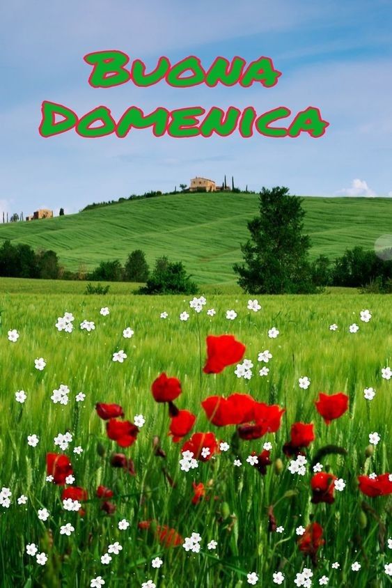 Nuovissimo Buona Domenica Immagini 52