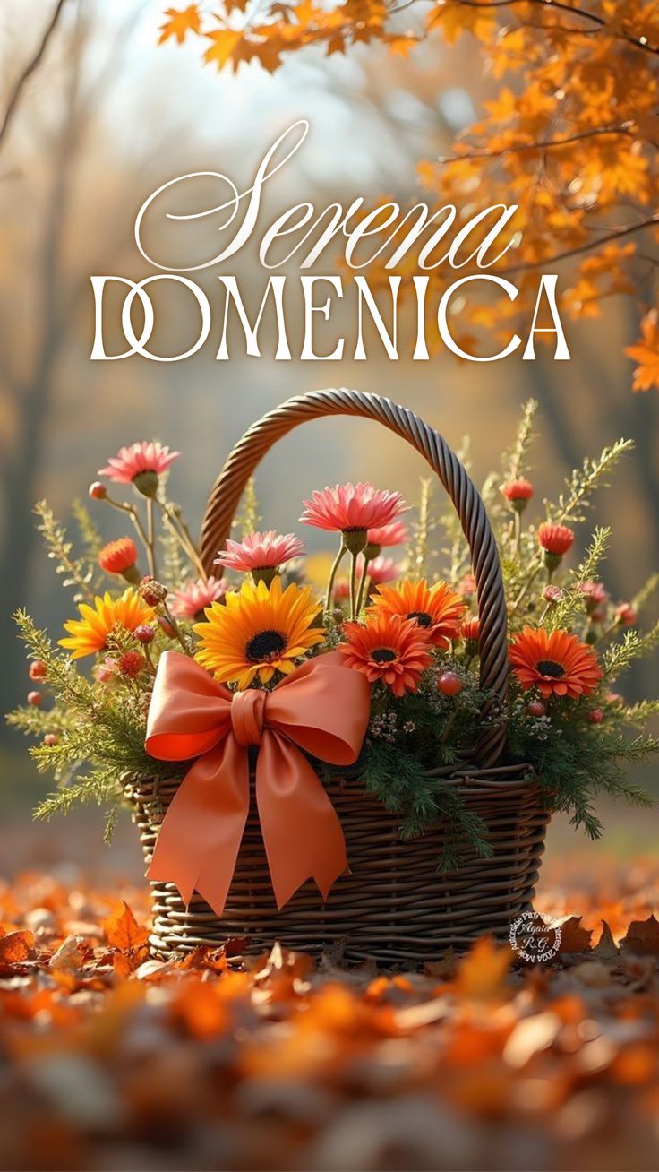 Nuovissimo Buona Domenica Immagini 62