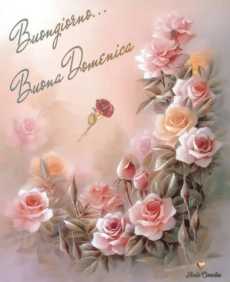 Nuovissimo Buona Domenica Immagini 67