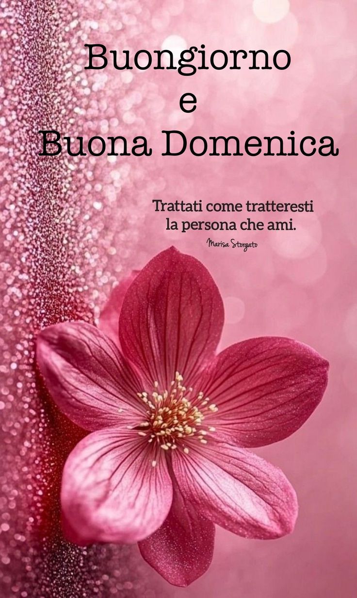 Nuovissimo Buona Domenica Immagini 69