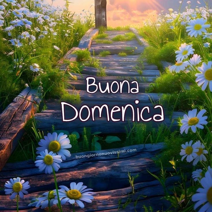 Nuovissimo Buona Domenica Immagini 72