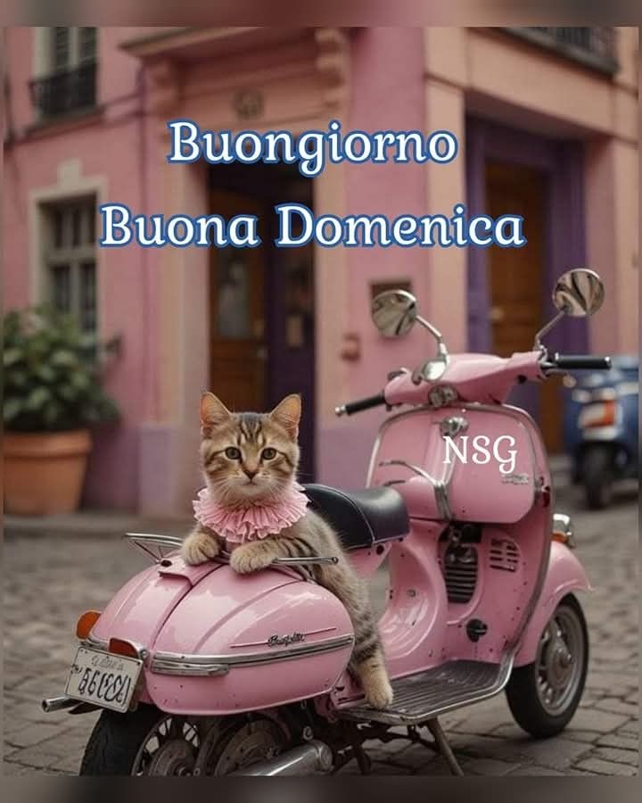 Nuovissimo Buona Domenica Immagini 77
