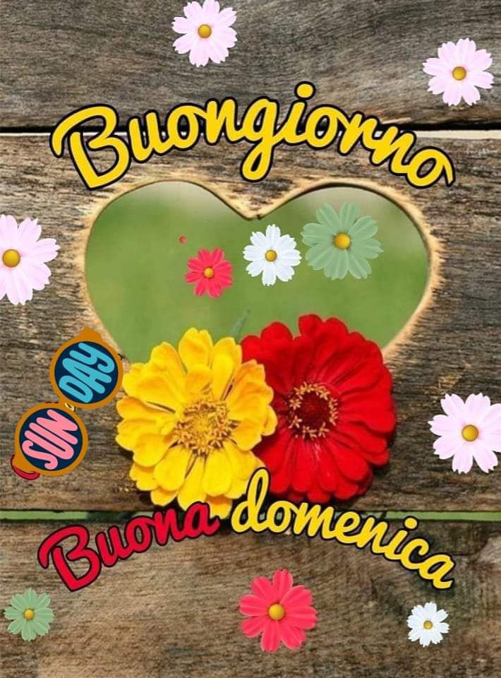 Nuovissimo Buona Domenica Immagini 80