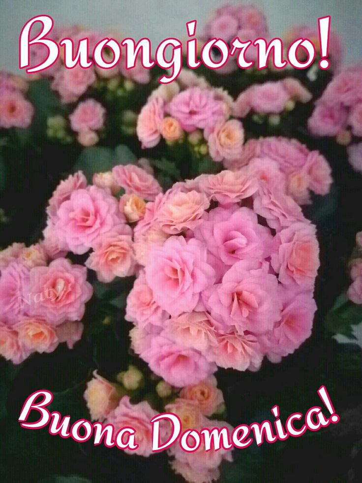 Nuovissimo Buona Domenica Immagini 95