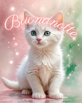 Nuovissimo Buonanotte Immagini 102