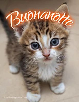 Nuovissimo Buonanotte Immagini 122