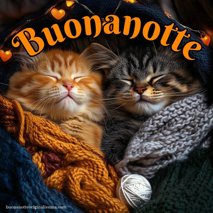 Nuovissimo Buonanotte Immagini 144