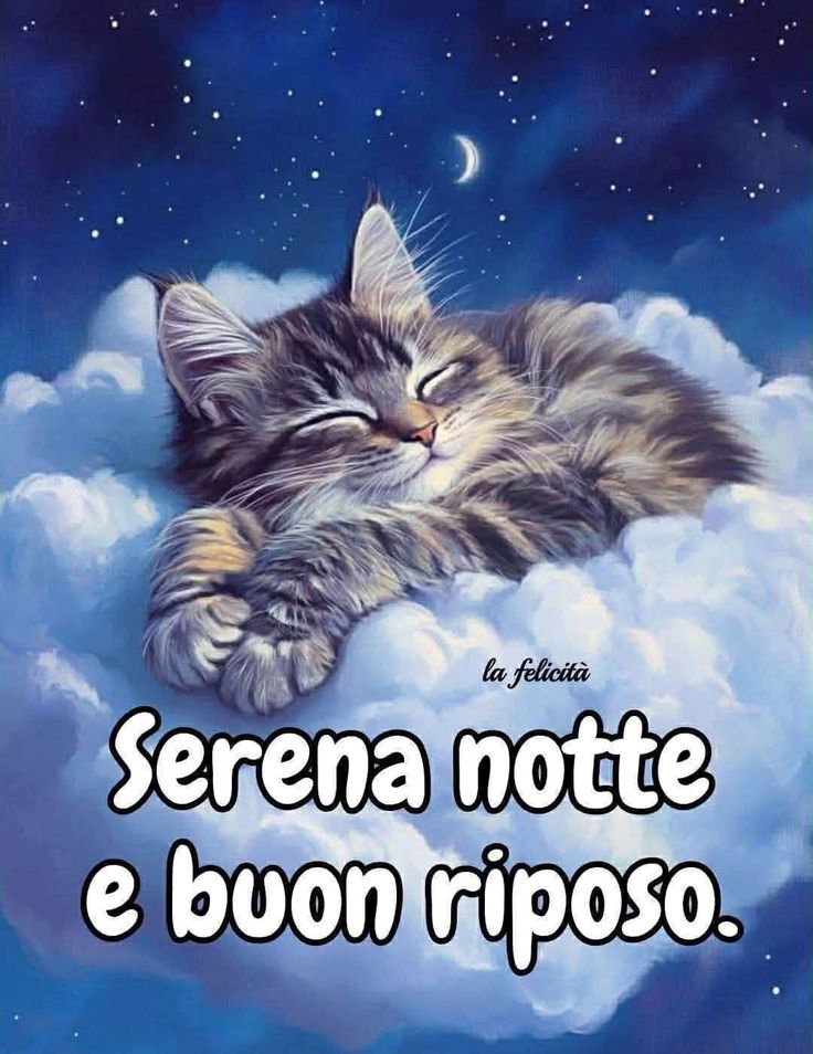 Nuovissimo Buonanotte Immagini 146