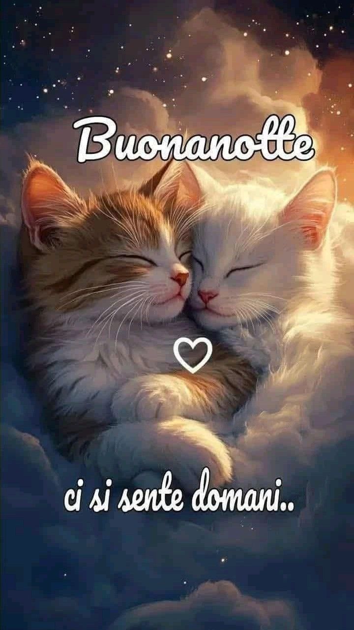 Nuovissimo Buonanotte Immagini 17