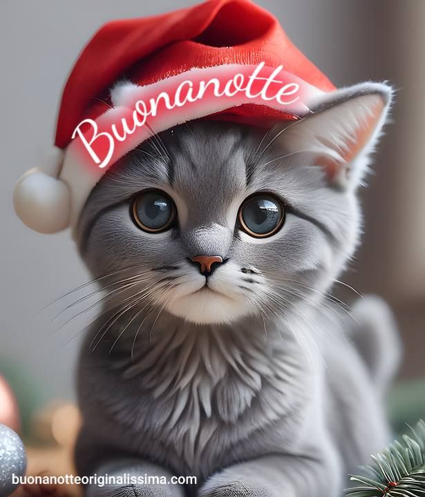 Nuovissimo Buonanotte Immagini 18