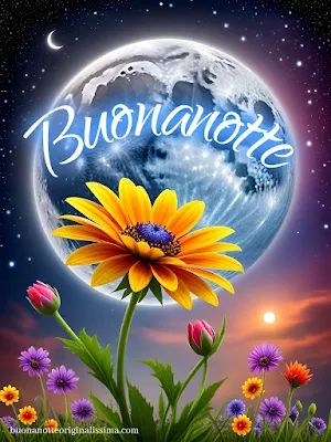 Nuovissimo Buonanotte Immagini 27