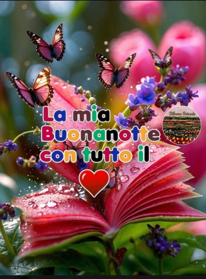 Nuovissimo Buonanotte Immagini 28