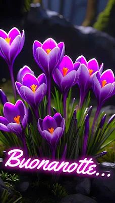 Nuovissimo Buonanotte Immagini 3