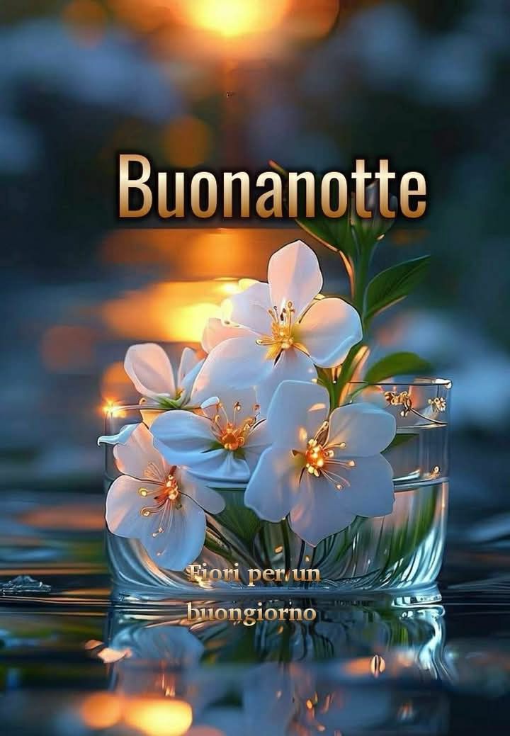 Nuovissimo Buonanotte Immagini 38