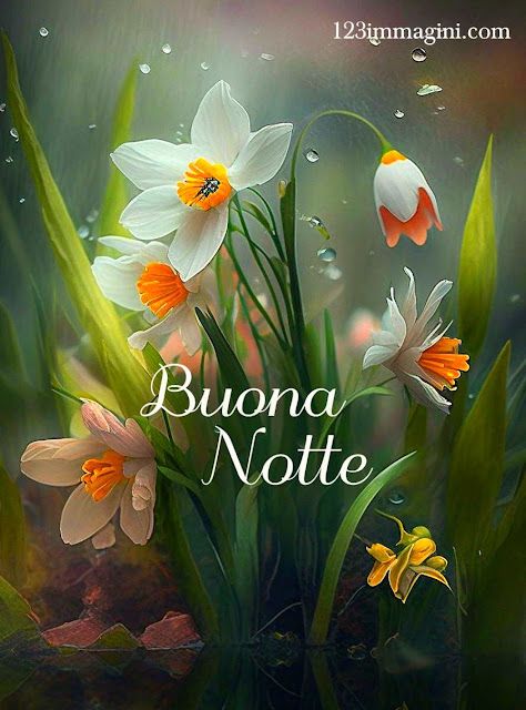 Nuovissimo Buonanotte Immagini 43