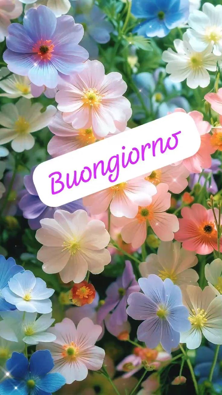 Nuovissimo Buongiorno Immagini 100
