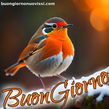 Nuovissimo Buongiorno Immagini 103