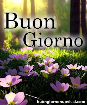 Nuovissimo Buongiorno Immagini 107