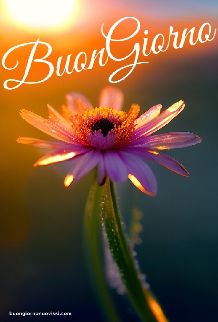 Nuovissimo Buongiorno Immagini 109